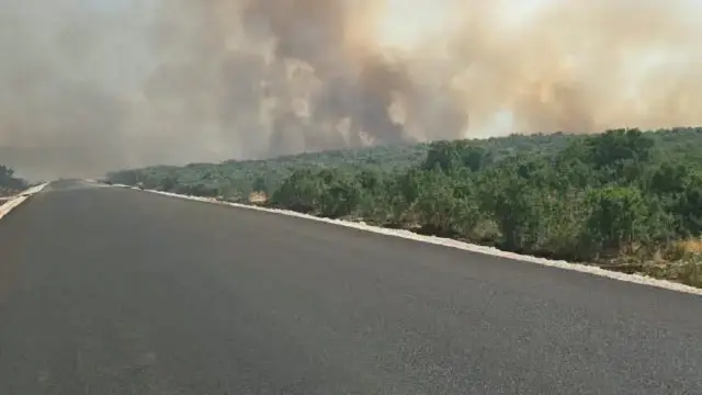 Diyarbakır'da orman yangını