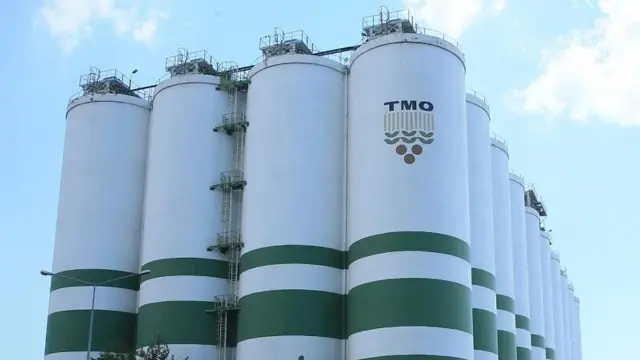 TMO paid farmers 3.6 billion lira in 27 August-8 September period
